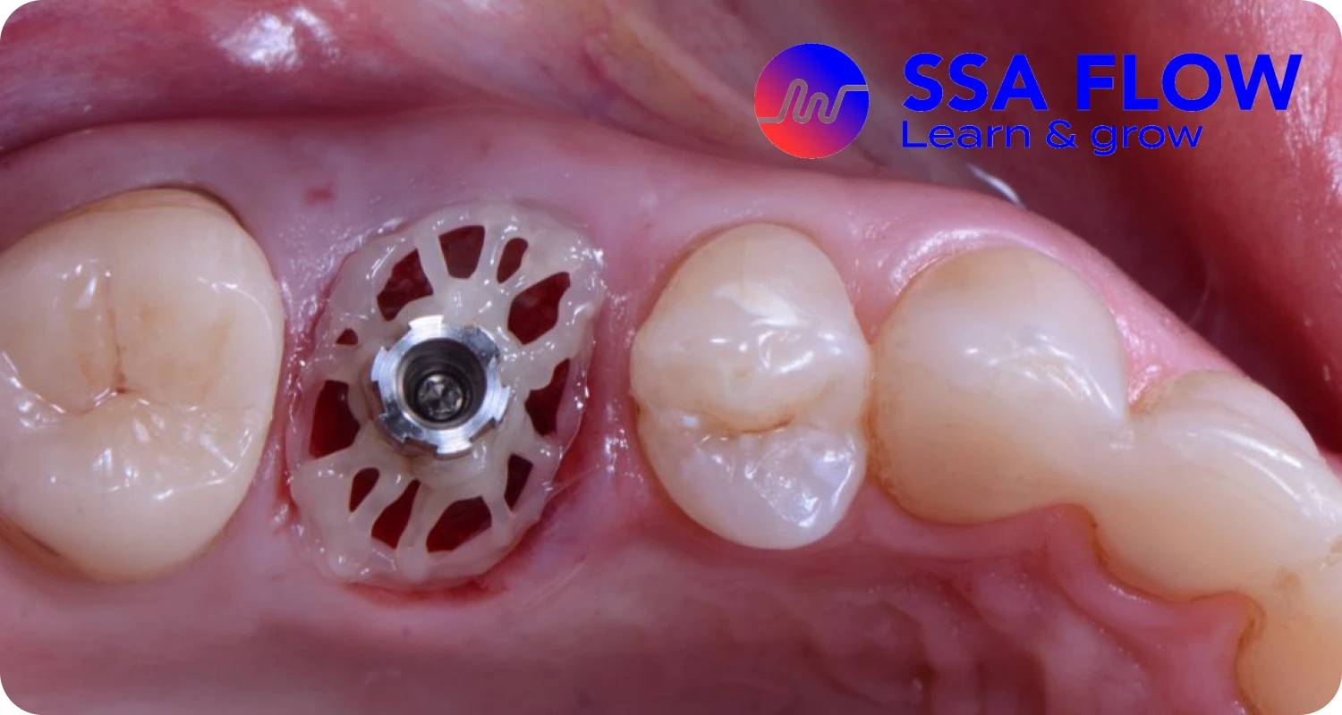 Toutes les formations